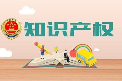 知識產(chǎn)權(quán)獲得情況及其對產(chǎn)品服務(wù)的技術(shù)支撐作用